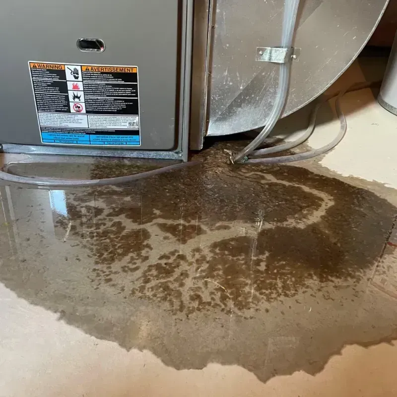 Appliance Leak Cleanup in Darien, CT